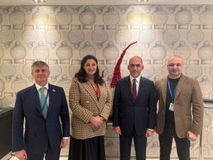 Українська делегація провела двосторонні зустрічі на полях конференції COSAC у Копенгагені